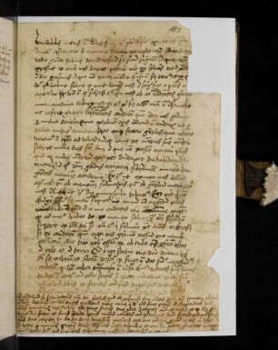 Omni ergo statui tria dare decrevi: Vestem scilicet arborem et florem …