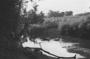 Mbenkurutal-Fluss bei Matarawe : Flusslandschaft bei Matarawe