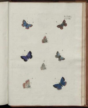 N. CXXI [bis] N. CXXIV. [siehe Paginierung]