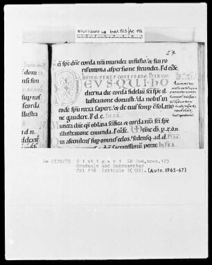 Graduale und Sakramentar — Zierinitiale D(eus), Folio 116recto