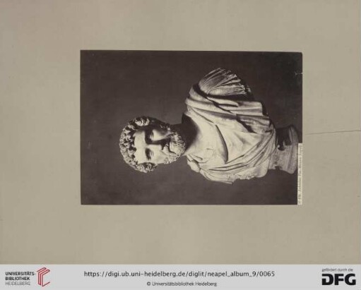Nr. 1541. Antonino Pio. Museo Napoli