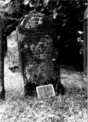Grabstein 234 [Nir S. 137 Nr. 14.02]