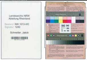 Entnazifizierung Jakob Schneider , geb. 13.03.1904 (Handelsvertreter)