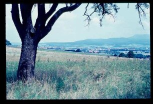 Land bei Hechingen 25.8.66.
