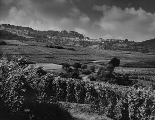 Archivfotografie "hohenlohe_oehringen_on"