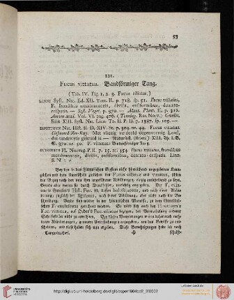 Tange (Tab. CXXXVI-CLVII)