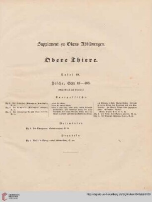 Obere Thiere