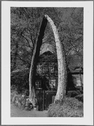 Walkiefer vor dem Friesischen Museum von Wyk, Insel Föhr