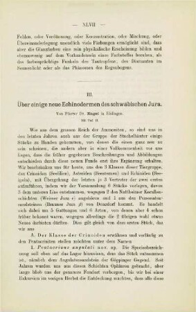 Über einige neue Echinodermen des schwäbischen Jura (Engel)