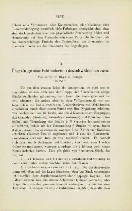Über einige neue Echinodermen des schwäbischen Jura (Engel)