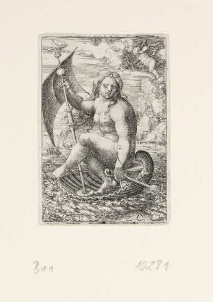 Venus in einer Muschel segelnd
