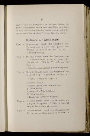 Erklärung der Abbildungen