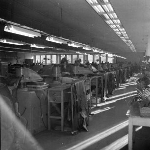 Roßwein, Bahndammstraße. VEB terra-Schuhfabrik. Produktionsablauf. Blick in einen Produktionsraum