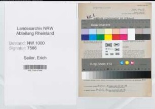 Entnazifizierung Erich Seiler, geb. 08.10.1899 (Finanzoberinspektor)