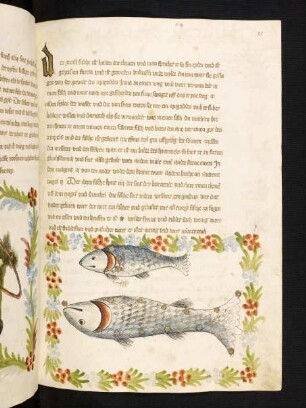 Fische