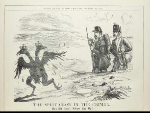 The split crow in the Crimea