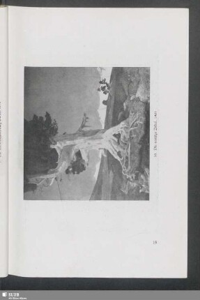 10. Die trotzige Zirbel, 1905
