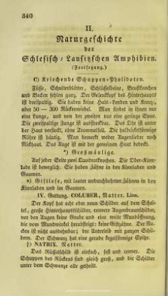 Naturgeschichte der Schlesisch-Lausitzischen Amphibien : (Fortsetzung)