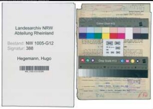 Entnazifizierung Hugo Hegemann , geb. 19.05.1909 (Werkmeister)