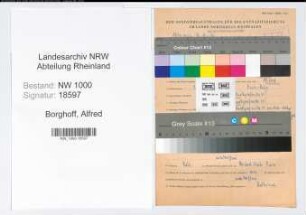 Entnazifizierung Alfred Borghoff, geb. 03.09.1915 ()
