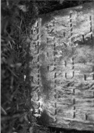 Grabstein 148 (Index: 99789889) Material: Sandstein Zustand: gespalten, stark verwittert Maße HxBxT: 42x45x12 cm Symbolik: Mohnkapseln: Grabstein 148A