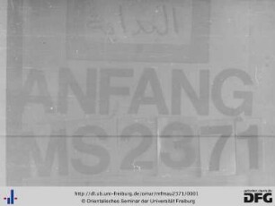 MF Mau 2371