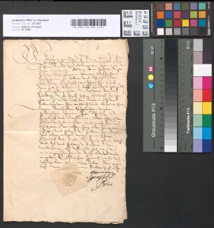 Quittung des Grafen Hermann zu Sayn-Homburg über erhobene Rente von 800 Goldgulden aus dem Rheinzoll zu Andernach.