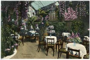 Hainichen. Wintergarten