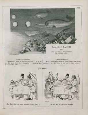 "Narwall und Kugelfisch" "Zur Mode"