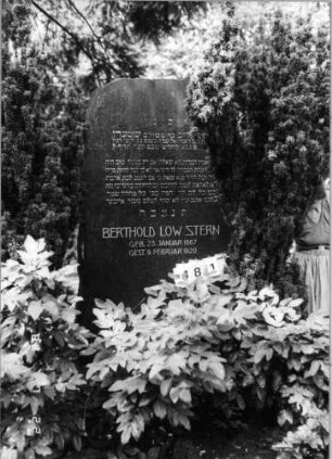 Grabstein 481