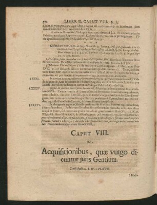 Caput VIII. De Acquisitionibus, quae vulgo dicuntur iuris Gentium.