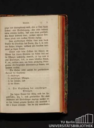 1. Die Erziehung der einjährigen Pflanzen.