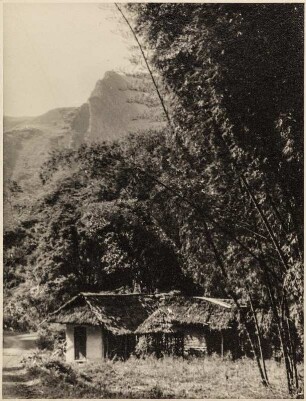 Siedlung (Lateinamerika-Aufenthalte 1928/1942)