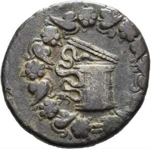 Apameia