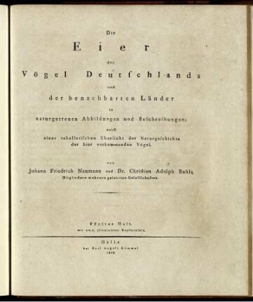 H. 5: Die Eier der Vögel Deutschlands und der benachbarten Länder in naturgetreuen Abbildungen und Beschreibungen. Heft 5