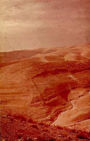 Machaerus Röm. Lager [Blick nach] NW
