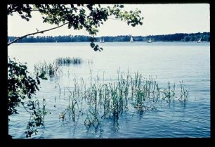 Seddin-See 6.6.59.