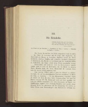 XIII. Die Heimkehr