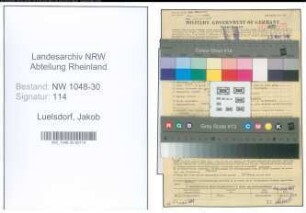 Entnazifizierung Jakob Luelsdorf , geb. 08.07.1889 (Kapitaen)