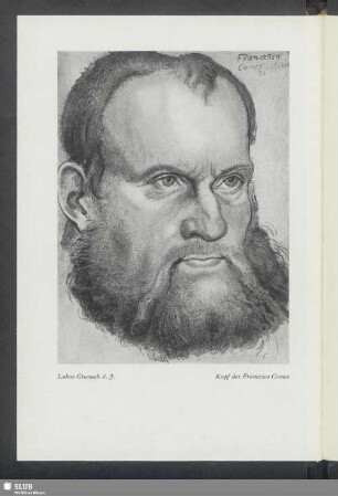 Lukas Cranach d. J.: Kopf des Francesco Comes