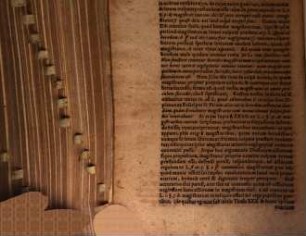 Disputatio juridica de officio circa tutelam et curam imperfectae aetatis