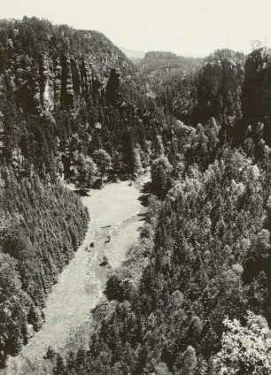 Polenztal mit Polenztalwächter, Blick talabwärts