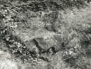 Dahlener Heide. Findling in Waldstück zwischen Wohlau und Bockwitz