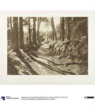 Les ombres