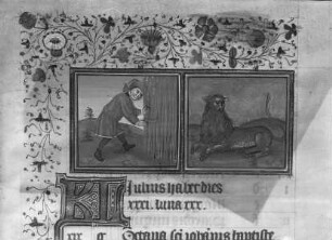 Stundenbuch Karls V. — Monatsblatt Juli mit Tierkreiszeichen Löwe, Folio 199
