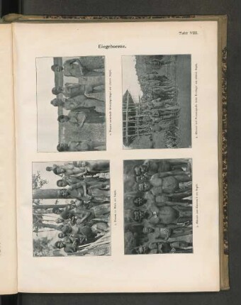 Tafel VIII. Eingeborene. 4. Männer mit Peniskapseln beim Endlager am oberen Sepik.