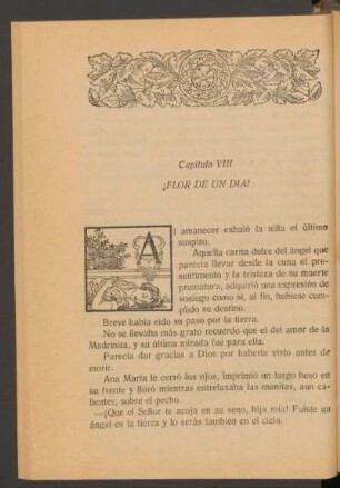 Capítulo VIII - ¡Flor de un día!