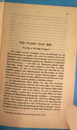 Über Vaucheria Clavata Agdh. : (Aus dem Februar-Hefte des Jahrganges 1852 der Sitzungsberichte der math.-naturw. Classe der kais. Akademie der Wissenschaften [VIII. Bd. S. 185] besonders abgedruckt)