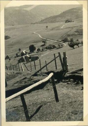 Im Südschwarzwald
