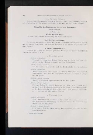 Blutgefäße des Beckens und der unteren Extremität.